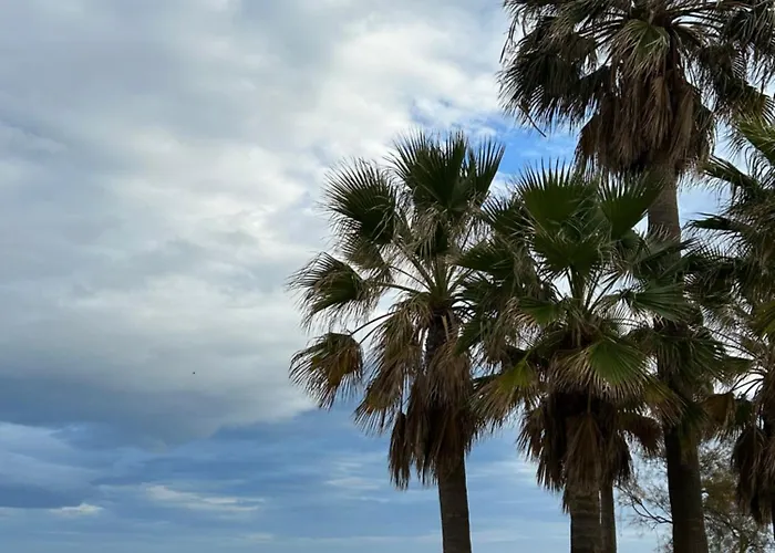 Don Juan, 99 * Fuengirola