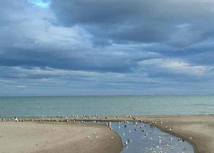 Don Juan, 99 * Fuengirola