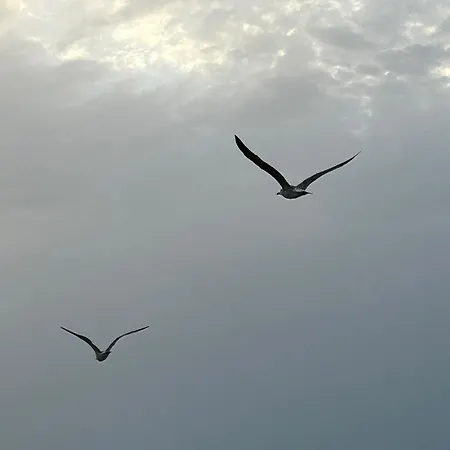 Don Juan Appartement Fuengirola