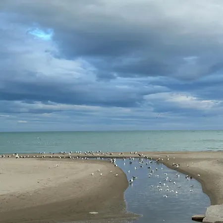 Don Juan * Fuengirola