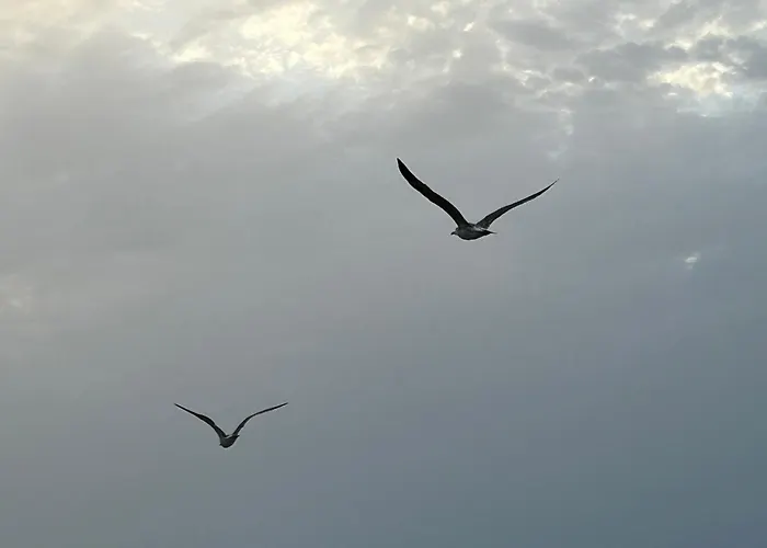 Don Juan, 99 Apartamento Fuengirola